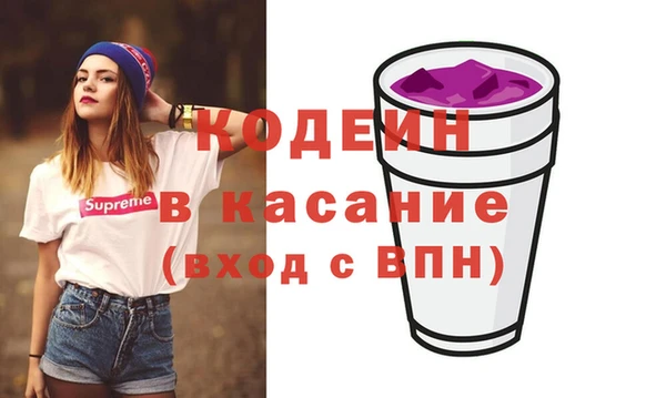 прущий лед Вяземский