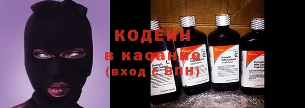 прущий лед Вяземский