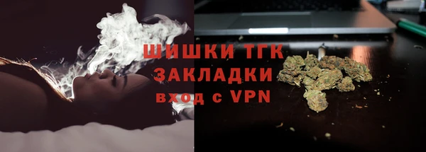 прущий лед Вяземский