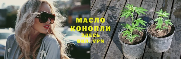 прущий лед Вяземский