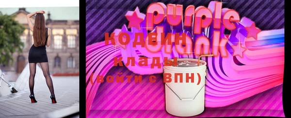 прущий лед Вяземский